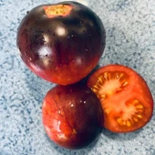 Pomme Dor De Saint Jean De Beaure Domates Tohumu(15 tohum) - 1