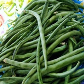 Sırık Karnıkara Börülce Tohumu (1 kg) thumbnail 1