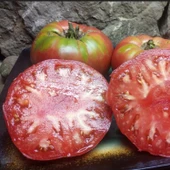 Olive Hill Etli Domates Tohumu (15 tohum) thumbnail 1