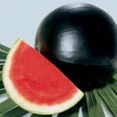 Geleneksel Tohum Siyah Washington Karpuz Tohumu (20 tohum) thumbnail 1