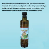 IŞGIN KÖKÜ SİRKESİ - 2