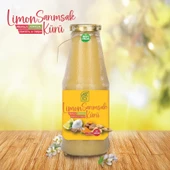 Zencefil Zerdeçal Tarçınlı Limon Sarımsak Kürü El Yapımı %100 Doğal Katkısız 1000 Ml Cam Şişe - 1