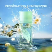 Elizabeth Arden Green Tea Scent EDP 100 ml Kadın Parfümü thumbnail 6
