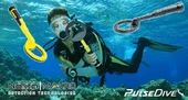 Pulsedive Pointer - 3