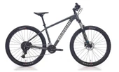 BIANCHI MAGMA 29.1 ALTUS ERKEK DAĞ BİSİKLETİ 430H HD 29 JANT 24 VİTES DARK GREY SİLVER GLOSS thumbnail 1