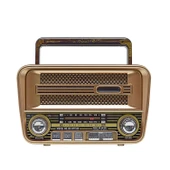 Concord RX-BT733S  Solar Güneş Enerji Panelli Nostaljik Radyo Bluetooth Hoparlör - 1
