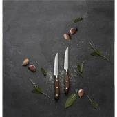 Victorinox 7.7240.2W Dövme Çelik 12cm 2li Biftek Bıçağı - 2