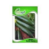 ByKurt Hıyar Beith Alpha Tohumu - Yüksek Verimli, Lezzetli ve Açık Tarla İçin İdeal thumbnail 1