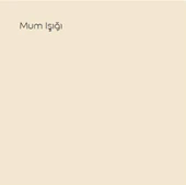 Marshall Silikonlu Özel Mat Mum Işığı 7,5lt (10 Kg) - 2