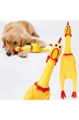 Pribor Öten Çığlık Atan Horoz Tavuk Civciv Köpek Kedi Için Bağıran Sesli Oyuncak L Boy 36 Cm - 2