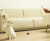 Vantuzlu Tüylü Zilli Kedi Oyun Oltası - 5