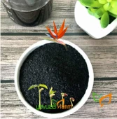 Hümik Asit, Fülvik Asit Gübre, Bitki Büyüme NPK ve Micro Element Gübre Alımı için Tarım Gübre 1 Kg thumbnail 1