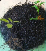 Hümik Asit, Fülvik Asit Gübre, Bitki Büyüme NPK ve Micro Element Gübre Alımı için Tarım Gübre 1 Kg thumbnail 2