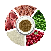 Pro Choice Pro 36 Kuzu Etli Pirinçli Yetişkin Kedi Maması 15 Kg. - 4