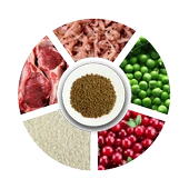 Pro Choice Pro 38 Yavru Kediler İçin, Hipoalerjenik, Tavuk Etli Ve Pirinçli Kuru Mama 15 kg - 4