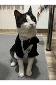 Goboticaret Kedi ve Köpek Takım Elbisesi Siyah Papyonlu Smokin Kıyafeti Damatlık - 4