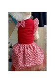 Çiçek Desenli Papyonlu Kırmızı Kedi Köpek Kıyafeti Elbisesi Xxlarge/xxl/beden 5 - 5