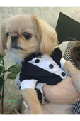 Goboticaret Kedi ve Köpek Takım Elbisesi Siyah Papyonlu Smokin Kıyafeti Damatlık - 1