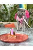 Pembe Kareli Fiyonklu Tüllü Kedi Köpek Kıyafeti Giyimi SMALL/S/Beden 1 - 2