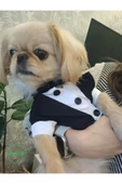 Siyah Papyonlu Smokin Damatlık Kedi ve Köpek Elbisesi Kıyafeti Takım Elbise Small/S/Beden 1 - 2