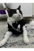 Siyah Papyonlu Smokin Damatlık Kedi Ve Köpek Elbisesi Kıyafeti Takım Elbise Large/l/beden 3 - 3