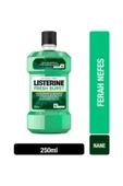 Listerine Fresh Burst Ferah Nane Ağız Bakım Suyu 250 ml ( 1 ADET ) - 1