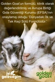 Golden Goat  Keçi Bebek Sütü 1 Numara 400 gr 6'lı Paket - 5
