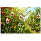 Repel Kuş Korkutucu Göz - Bird Eye - 4lü Takım - 3