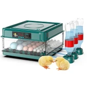 Evonest 70 Yumurtalık Tavuk Kuluçka Makinesi | Hassas Sıcaklık ve Nem Kontrolü - 2