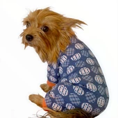 Turuncu Balonlu Penye Tulum Köpek Tulumu  Köpek Elbisesi - 4