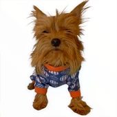 Turuncu Balonlu Penye Tulum Köpek Tulumu  Köpek Elbisesi - 1