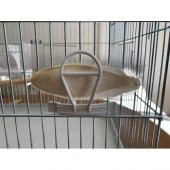 3 Adet Orta Boy (11-13 cm)  Mürekkep Balığı (Kalamar) + 1 Adet Tutma Aparatı - 4