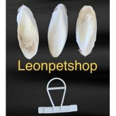 3 Adet Küçük Boy (8-10 cm) Mürekkep Balığı Kemiği (Kalamar) + 1 Adet Tutma Aparatı - 2