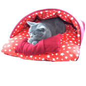 Terlik Kedi & Küçük Irk Köpek Yatağı - Kırmızı - 4
