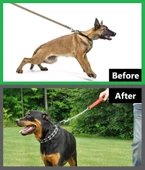 Köpek Kauçuklu Yürüyüş Boyun Zincir Eğitim Tasması 2.5 mm x 35 cm thumbnail 4