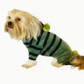 Ponponlu Yeşil Siyah Çizgili Köpek Tulumu Köpek Kıyafeti - 1