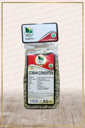 Çoban Çökerten Demir Dikeni (Tribulus Terrestris) - 1