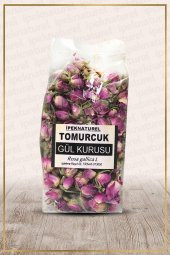 Tomurcuk Gül Kurusu - Gonca Gül (Rosa gallica L.) - 1