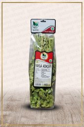 Yayla Adaçayı (Sideritis) - 1