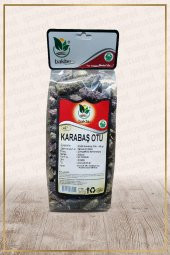 Karabaş Otu (Lavandula stoechas) - 1