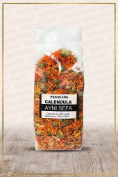 Aynı Sefa Portakal Nergisi (Calendula officinalis) - 1