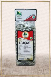 Adaçayı Yaprak (Ege) Salvia Sideritis - 1