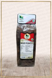 Mısır Püskülü (Zea mays) - 1