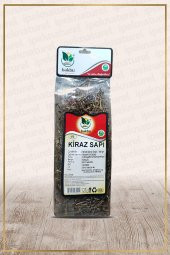 Kiraz Sapı (Prunus Avium) Kiraz Çöpü - 1