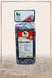 Ebegümeci ( Malva Vulgaris ) - 1