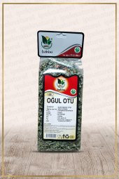 Oğul Otu (Melissa officinalis) - 1