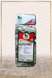 Okaliptus Yaprağı (Eucalyptus globulus) - 1