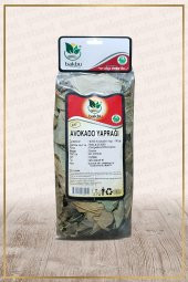 Avokado Yaprağı (Persea gratissima) - 1