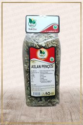 Aslan Pençesi Testere Dişli (Alchemilla vulgaris) - 1