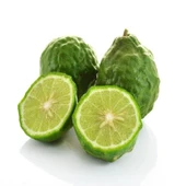 Yoğun Kokulu Yaprakları Olan Nadir Tüplü Kaffir Lime Fidanı Seneye Meyve Verir Durumda - 1